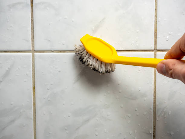 Best Attic Mold Removal  in Espy, PA