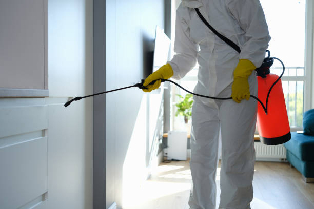 Best Local Mold Removal Service  in Espy, PA